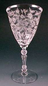 Fostoria Glass Chintz Etched Crystal Tall Water Goblet