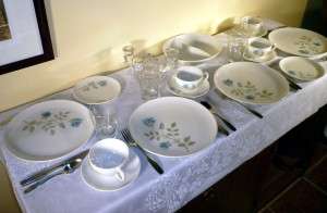 Concord Rose Dinnerware Syracuse China